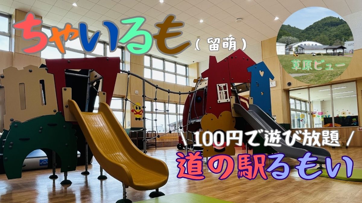 ちゃいるも（アイキャッチ画像）