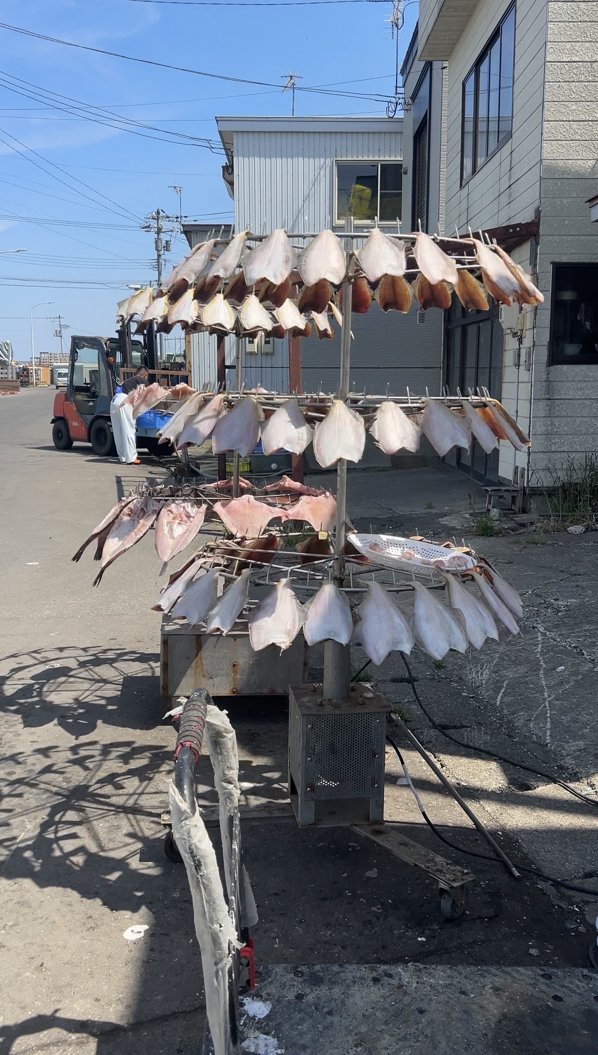 回転式魚天日干し機ホスベー②