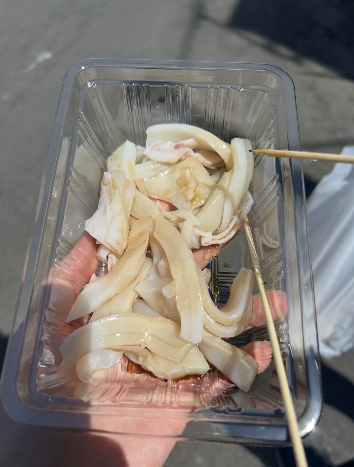 臼谷漁港タコ②